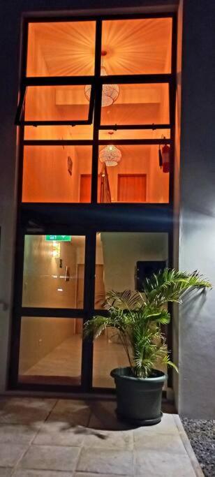 Bois Mapou Self Catering Apartments Unit 203 黑河区 外观 照片